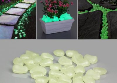 Glow In The Dark Gardens Gallery Image 2