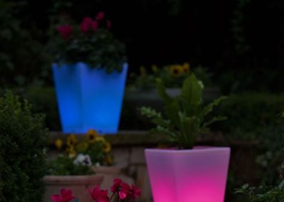 Glow In The Dark Gardens Gallery Image 21