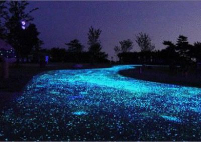 Glow In The Dark Gardens Gallery Image 31