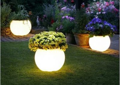 Glow In The Dark Gardens Gallery Image 5