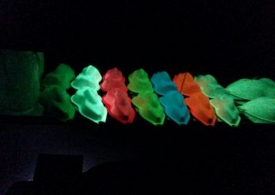 Glow In The Dark Other Gallery Image 5